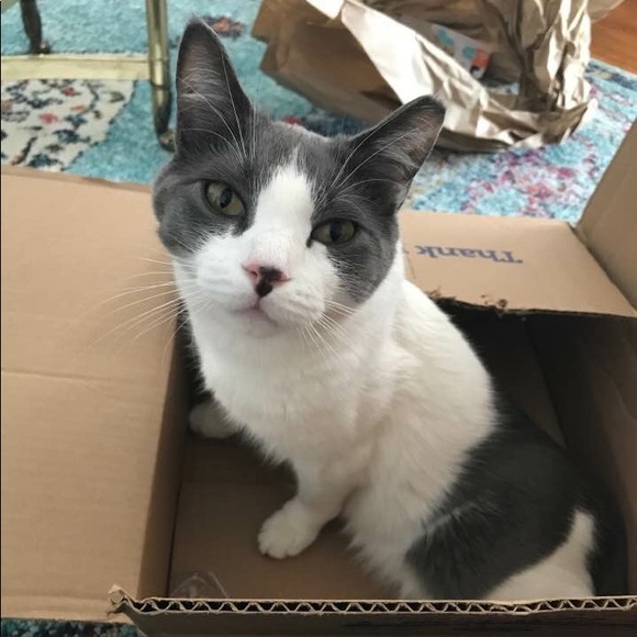 Hi! I’m Kaelah 👋🏻 - Picture 4 of 5